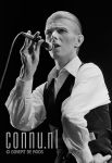 13-05-1976 David Bowie live in concert Ahoy Rotterdam Photo Govert de Roos/Connu

[keywords]Live concert[/keywords]